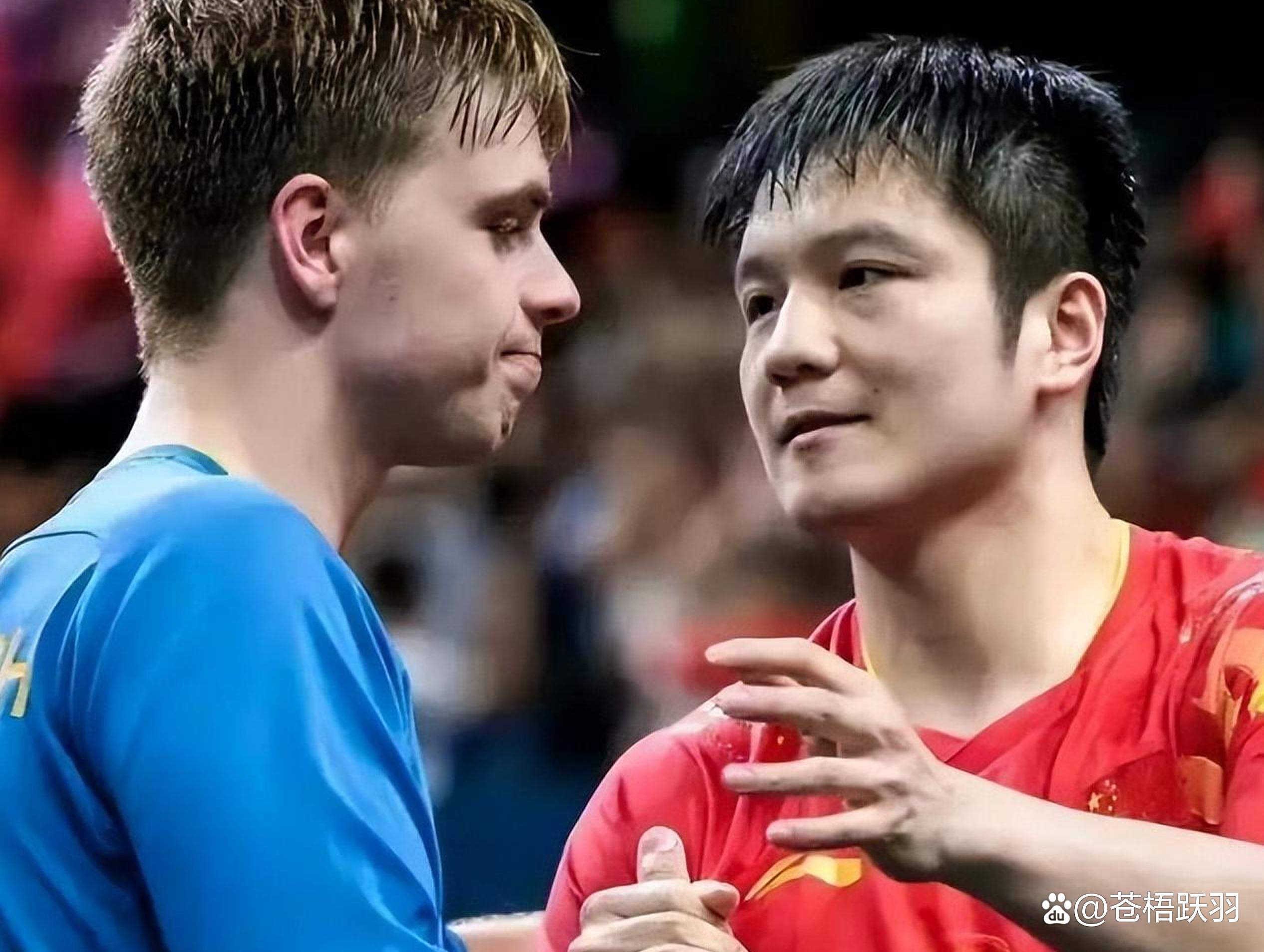 关于德国乒乓球队强势瑞典乒乓球队，樊振东送出助攻的信息