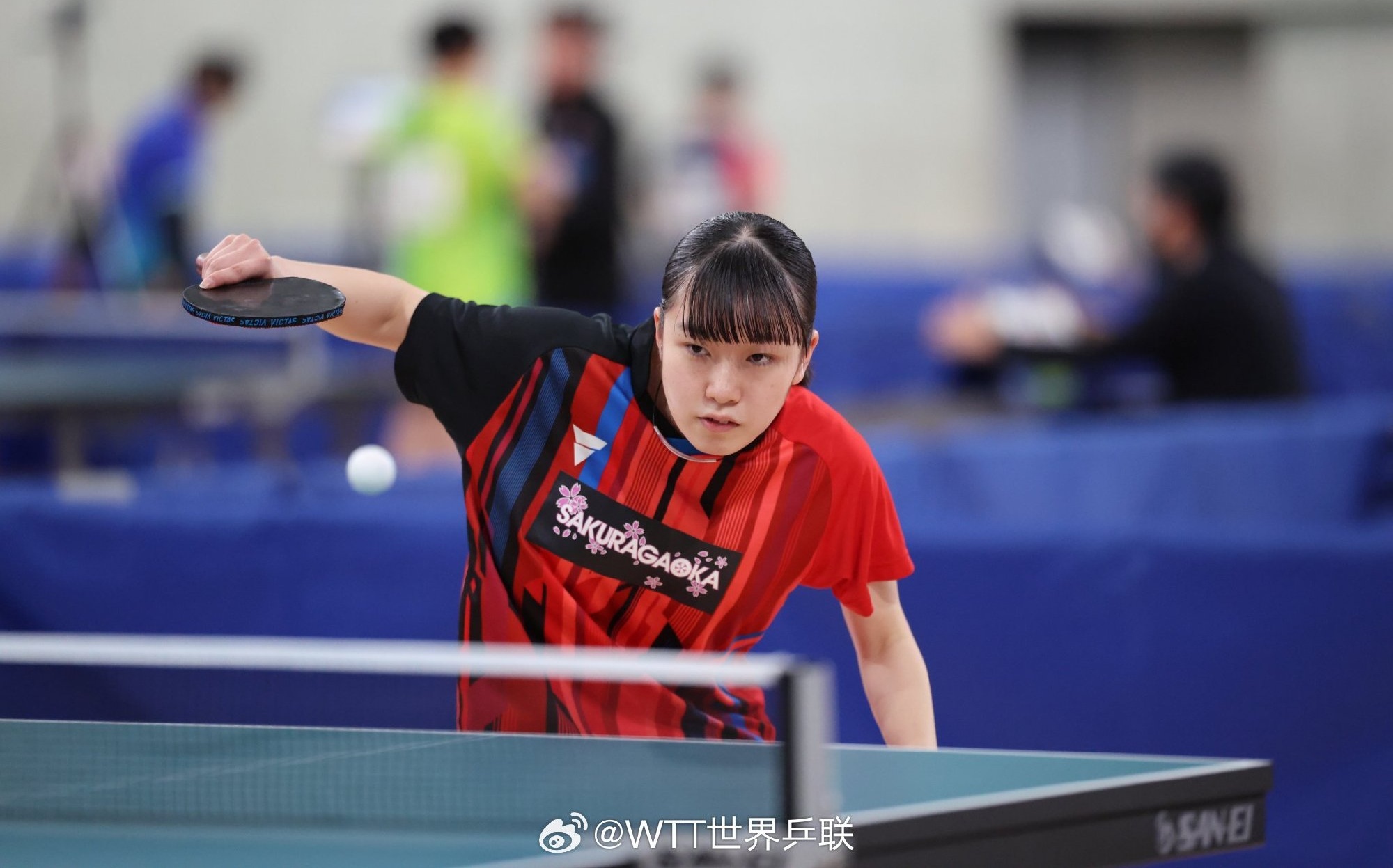 九游娱乐入口-关于日本代表团喜获佳绩，运动员状态逐渐达到巅峰的信息