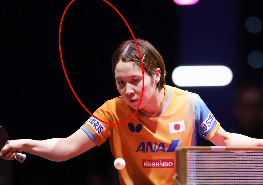 九游娱乐官方-包含奥地利乒乓球队血洗日本乒乓球队，奥恰洛夫关键制胜的词条