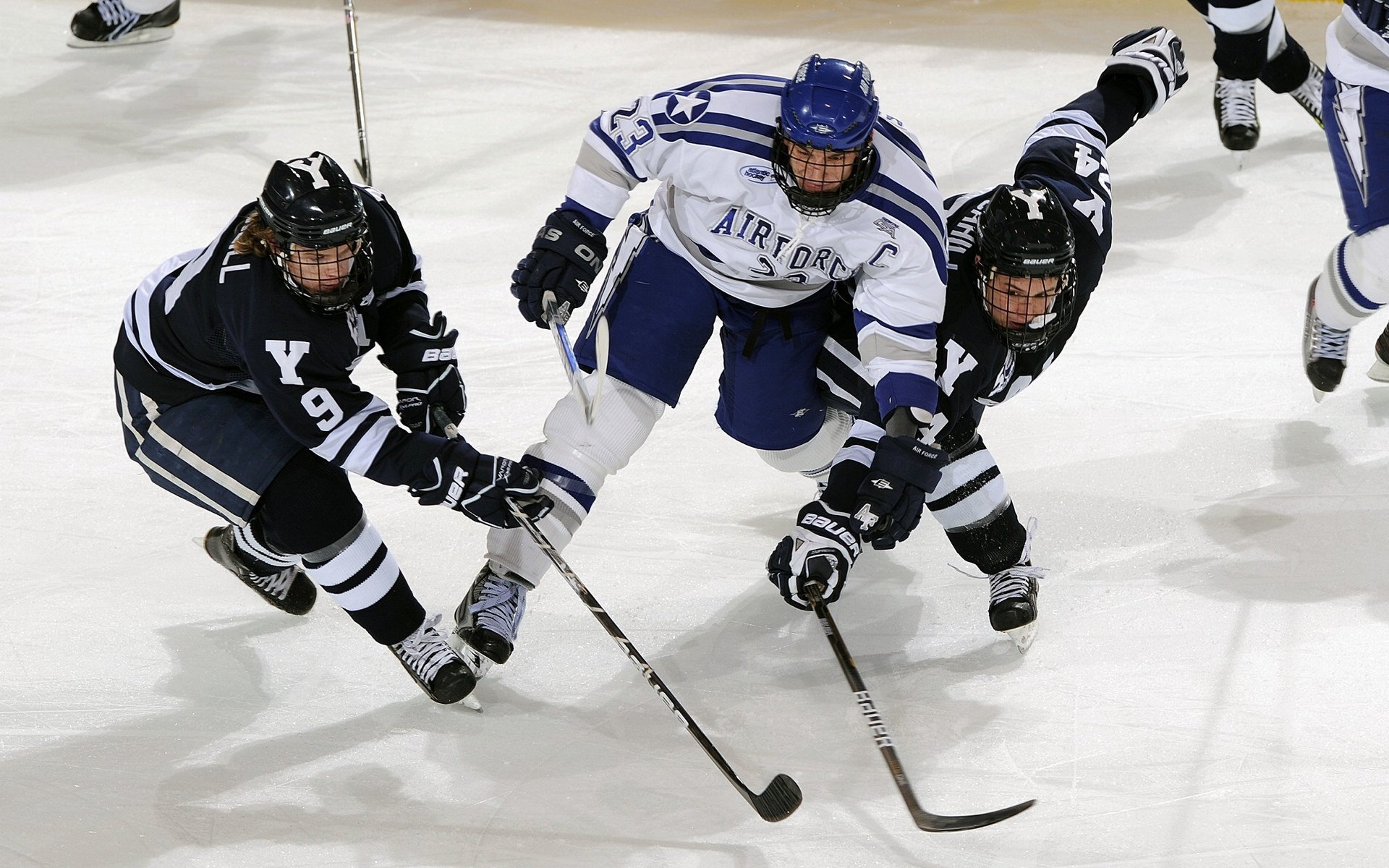 跨界绝杀，范弗利特的德甲争冠夜与掘金的终场启示